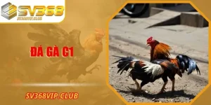 Đá Gà C1 – Đấu Trường Kịch Tính Và Đẳng Cấp Tại SV368
