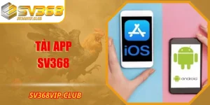 Tải App SV368: Hướng Dẫn Chi Tiết Trên Android, Ios